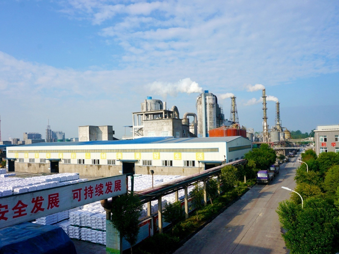 ���������@ȫ�׹���