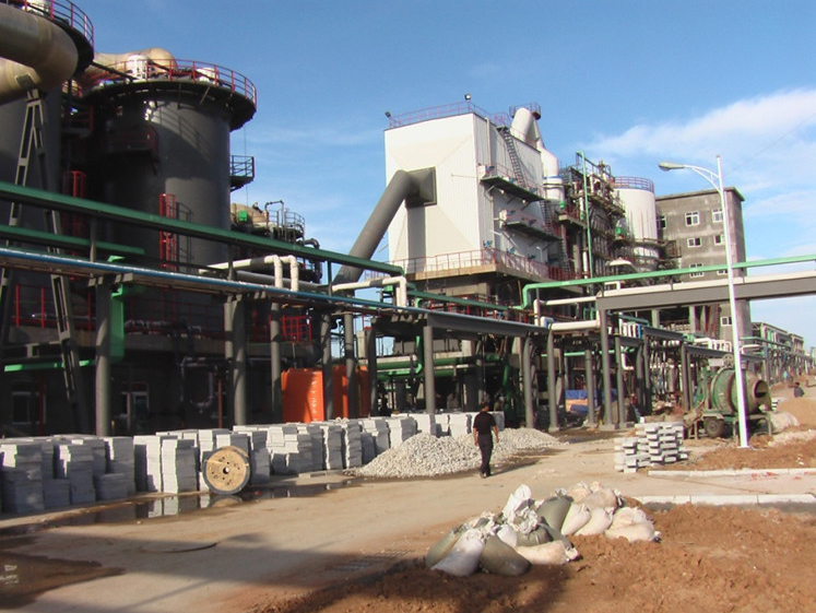 20�f(w��n)��/�����F�V�����Ŀ